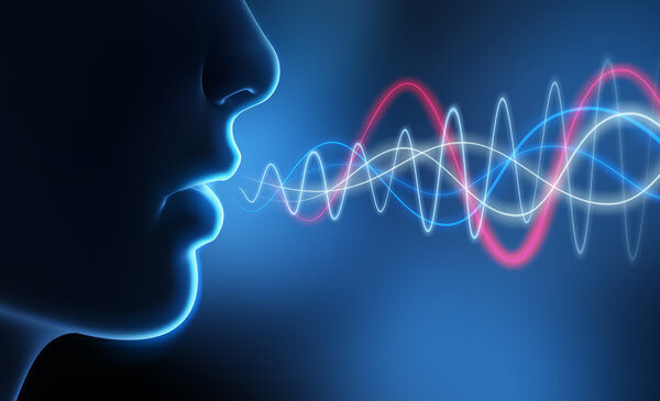 Voiceprint-Recognition.jpg