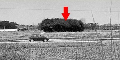 115131xj69a12dpdioxhph.jpg