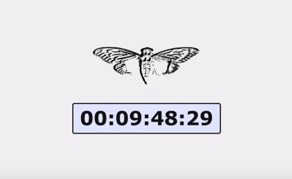 cicada3301countdown-e1563699658907.png