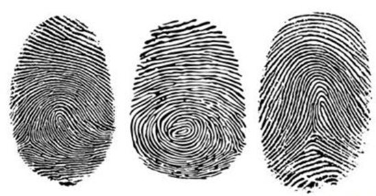 _63146121_fingerprint_types_副本.jpg