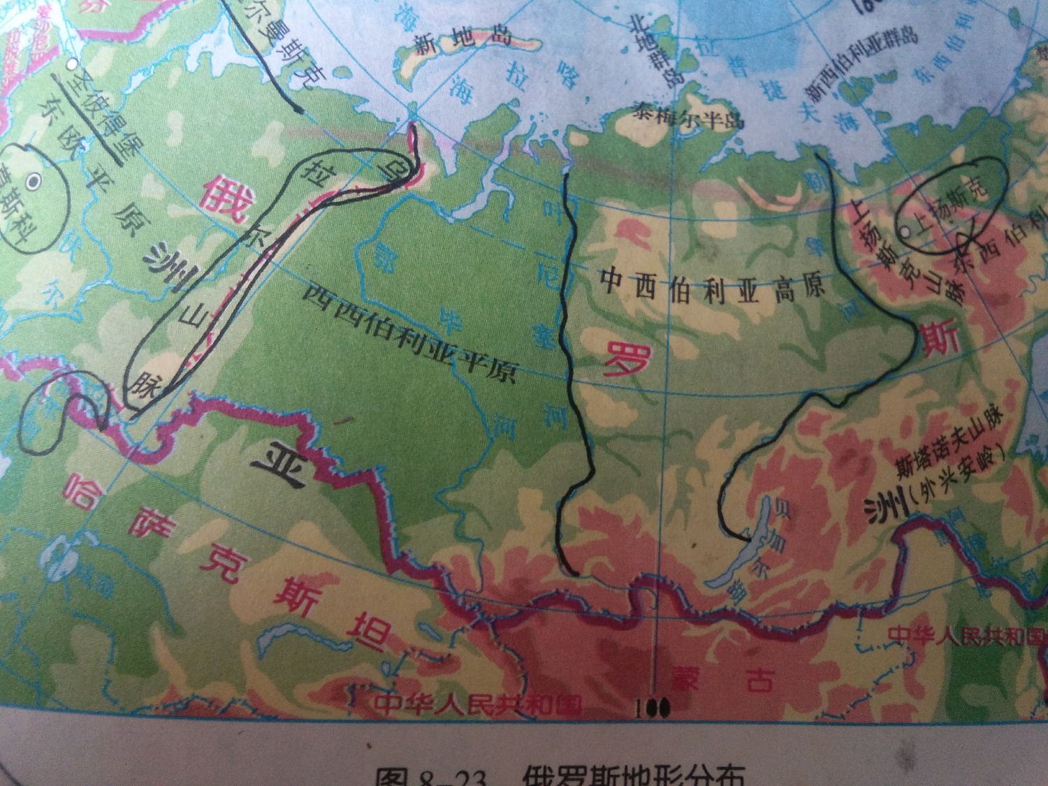 1585537491711.jpg