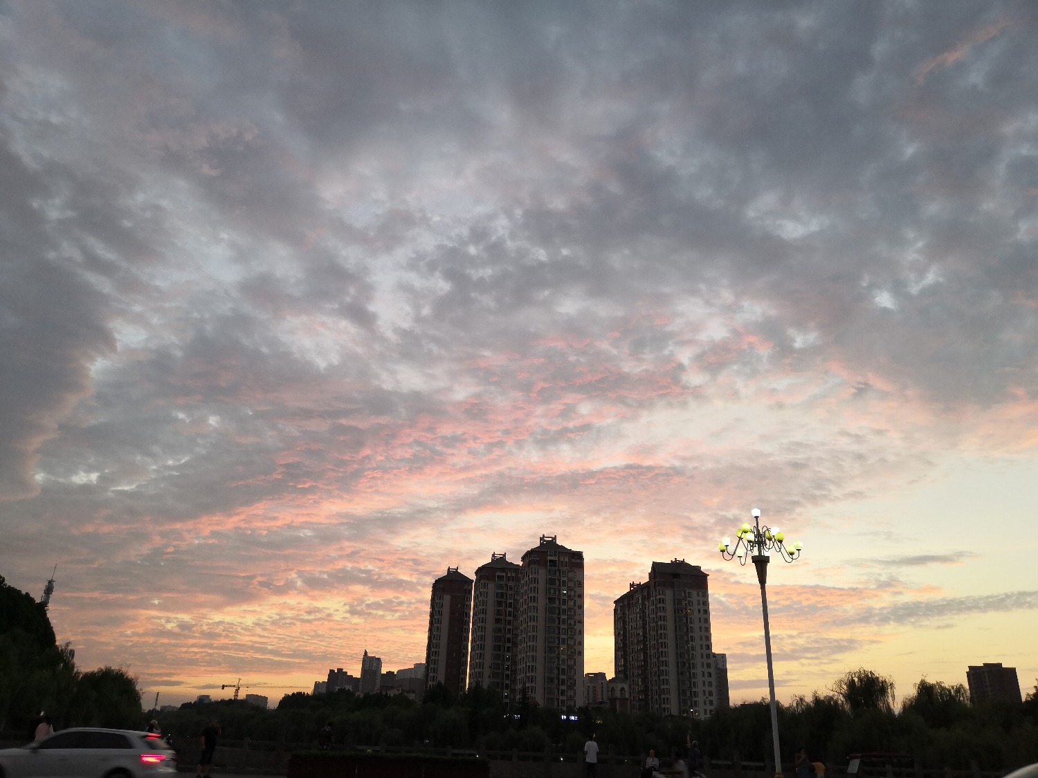 IMG_20200813_192840.jpg
