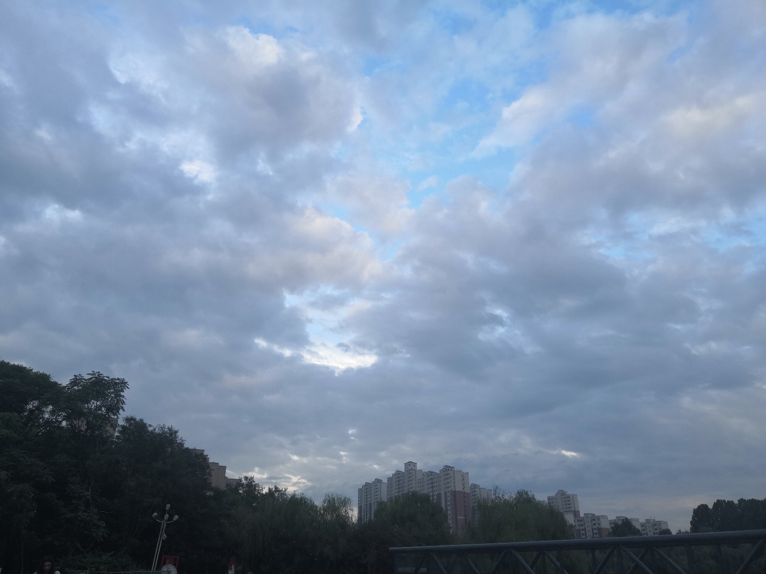 IMG_20200814_184702.jpg