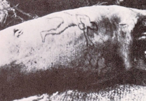severed-arm_副本 (1)_副本.jpg