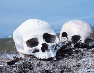 埋于土中的尸体，多久完成白骨化过程？