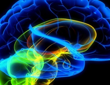 六种习惯提升大脑能力